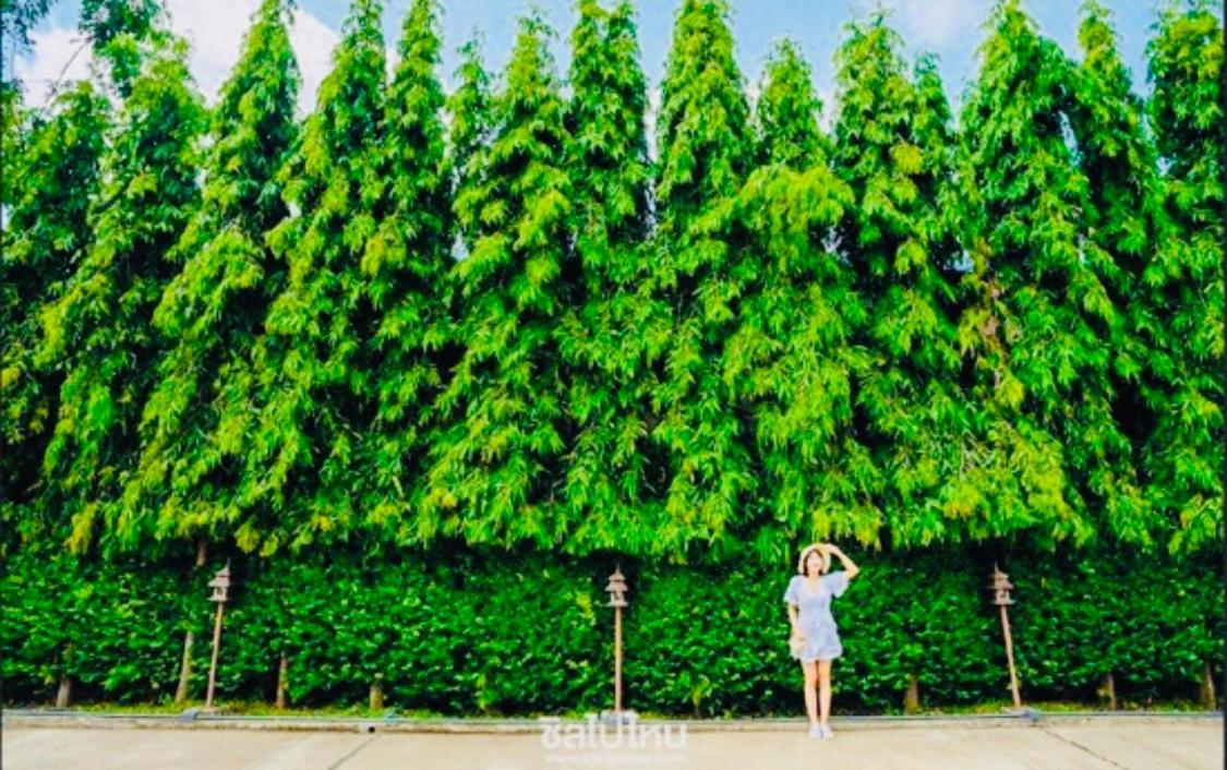 The Green Residence 304 Si Maha Phot Bagian luar foto